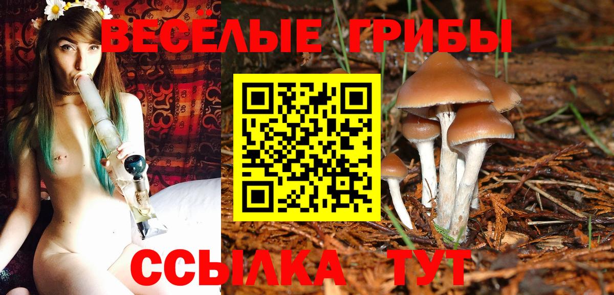 Псилоцибиновые грибы мицелий  Вход с VPN  Галлюциногенные грибы ЛСД  Трёхгорный 