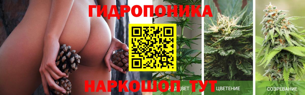 МАРИХУАНА планчик  Канабис семена  Каннабис VHQ  Канабис THC 21%  Вход с VPN  Трёхгорный 